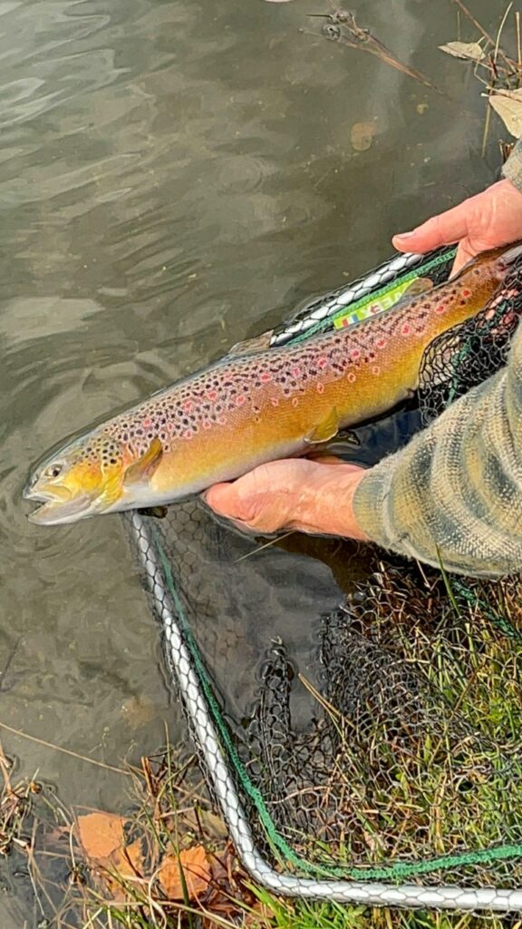 Lac/Réservoir Les Pêcheurs ardéchois